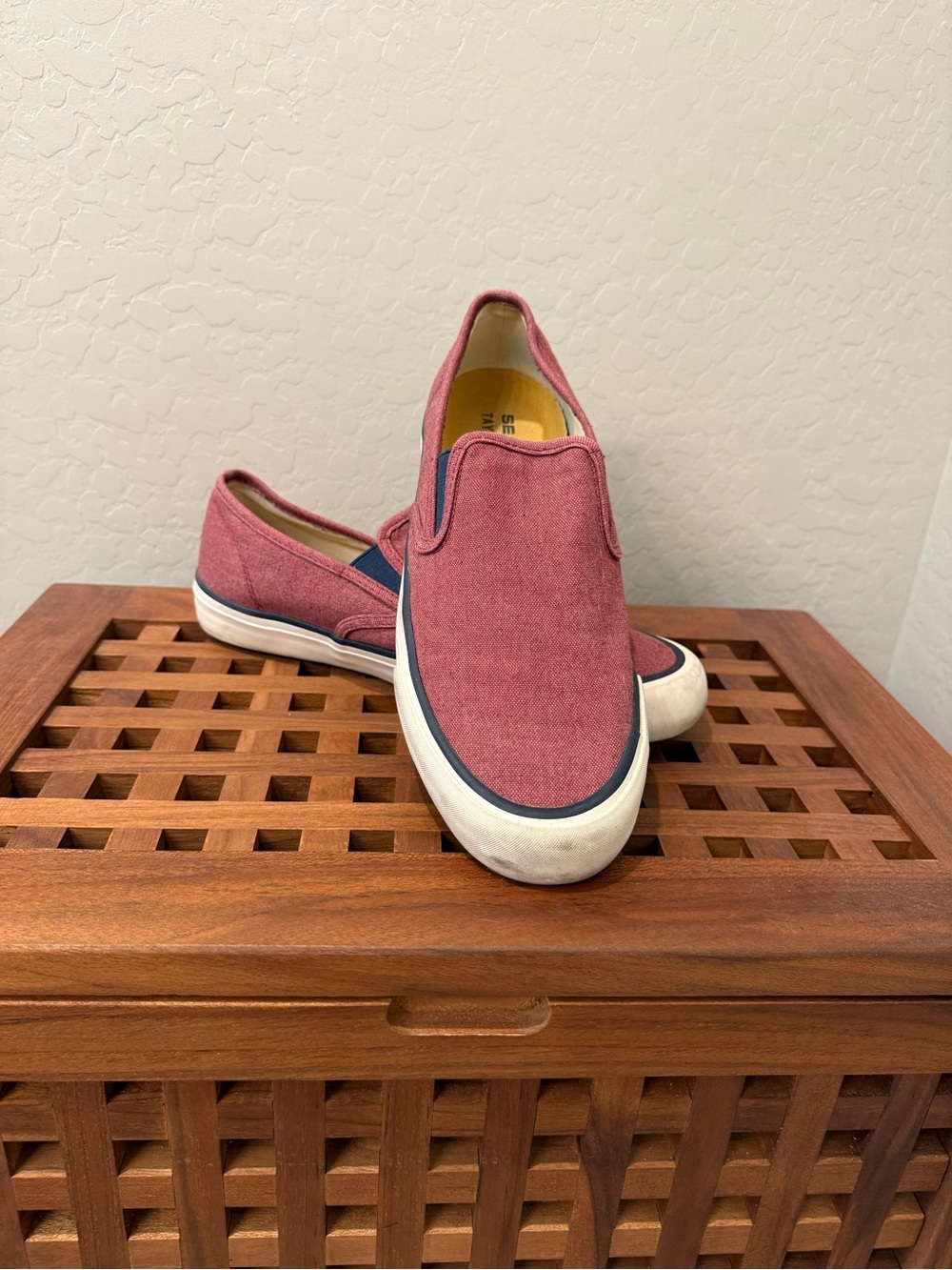 Men's Taylor Stitch Seavee’s Slip-On Shoes in Dusty Rose